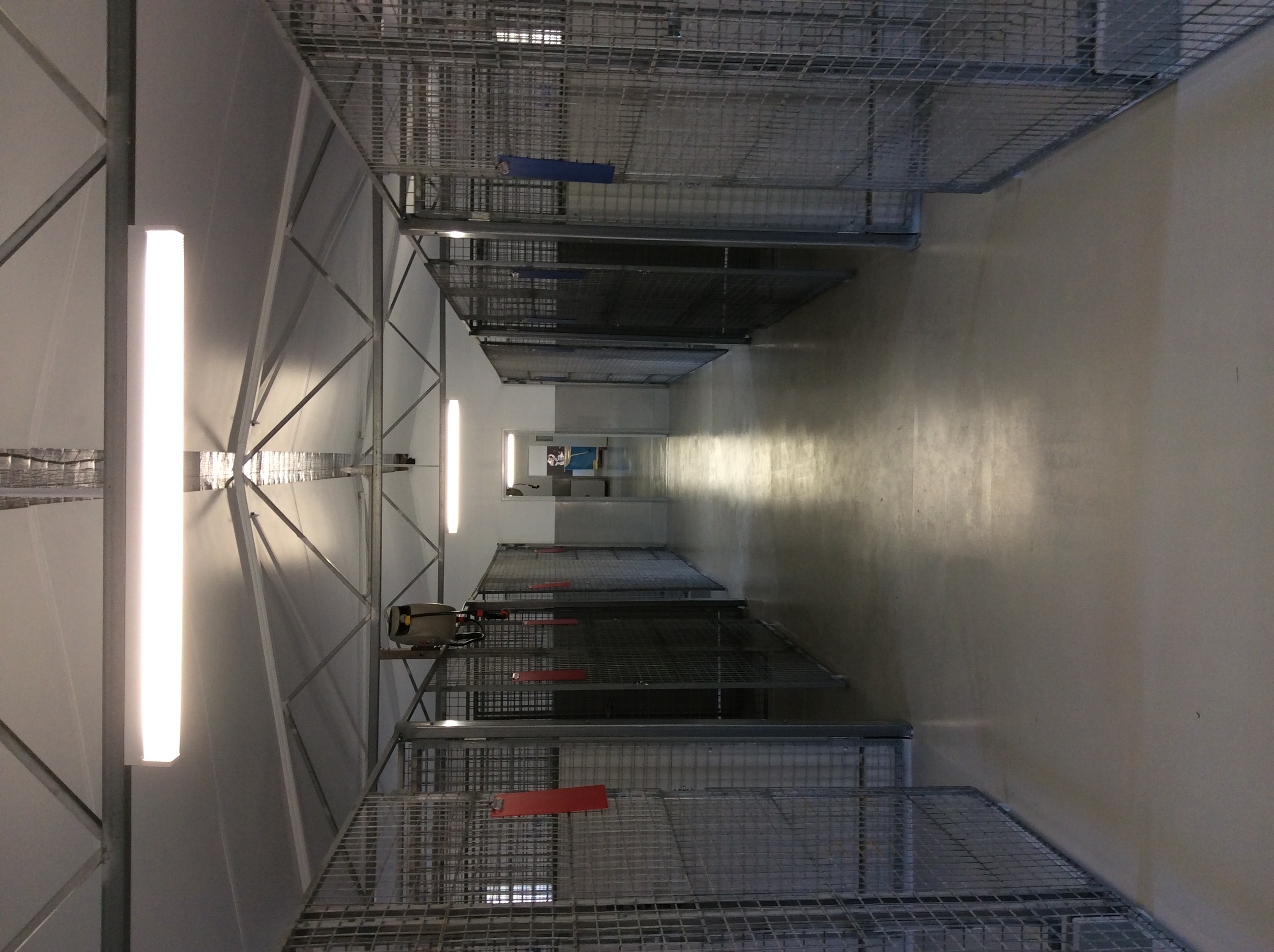 Red Dog Boarding Kennels Geraldton Red Dog Boarding Kennels
