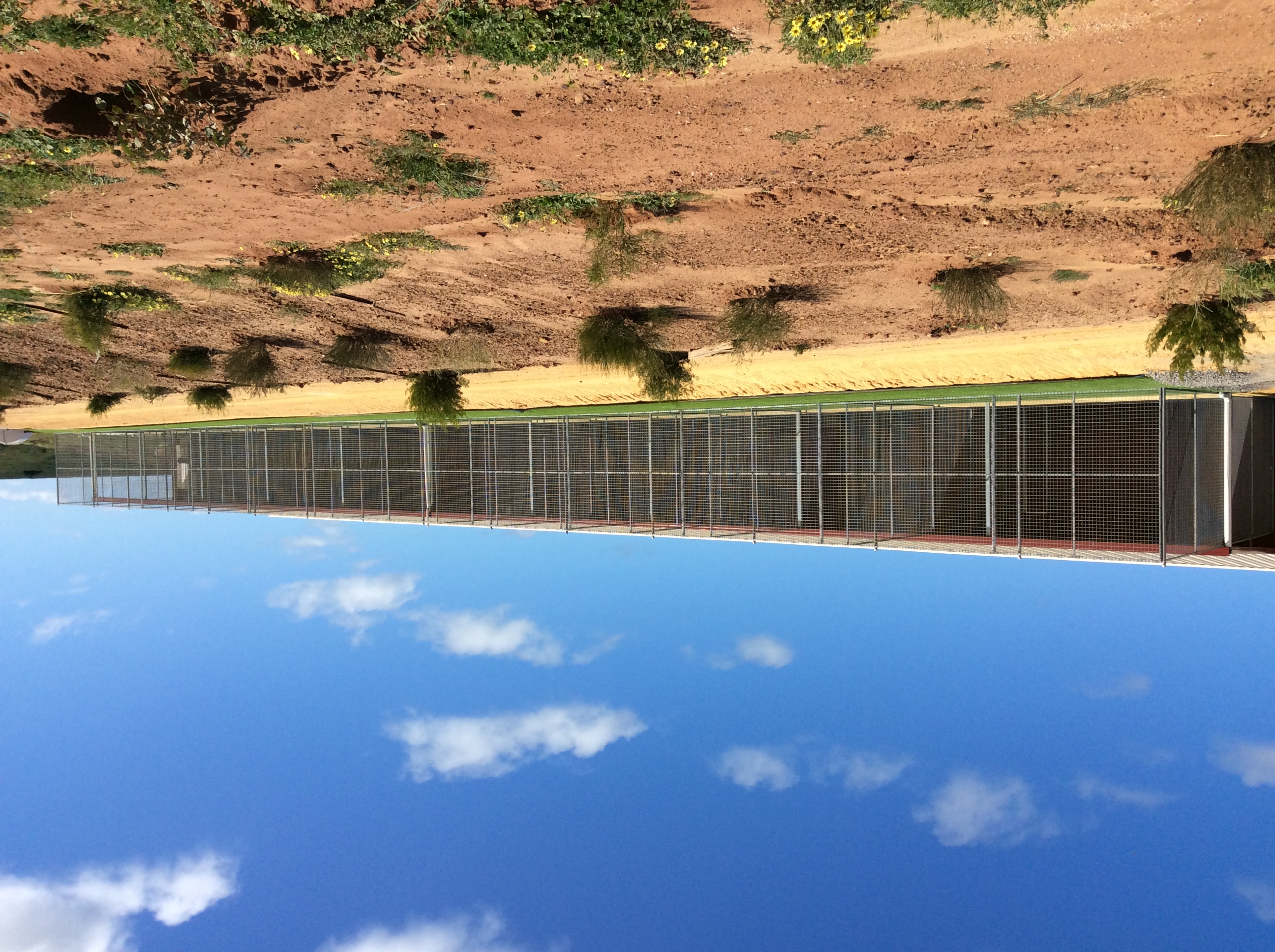 Red Dog Boarding Kennels Geraldton Red Dog Boarding Kennels