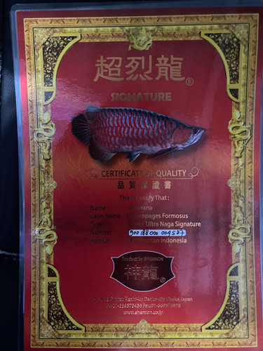 奇跡の超珍品 200年❓前のヨーロピアングラス 4+1 超お