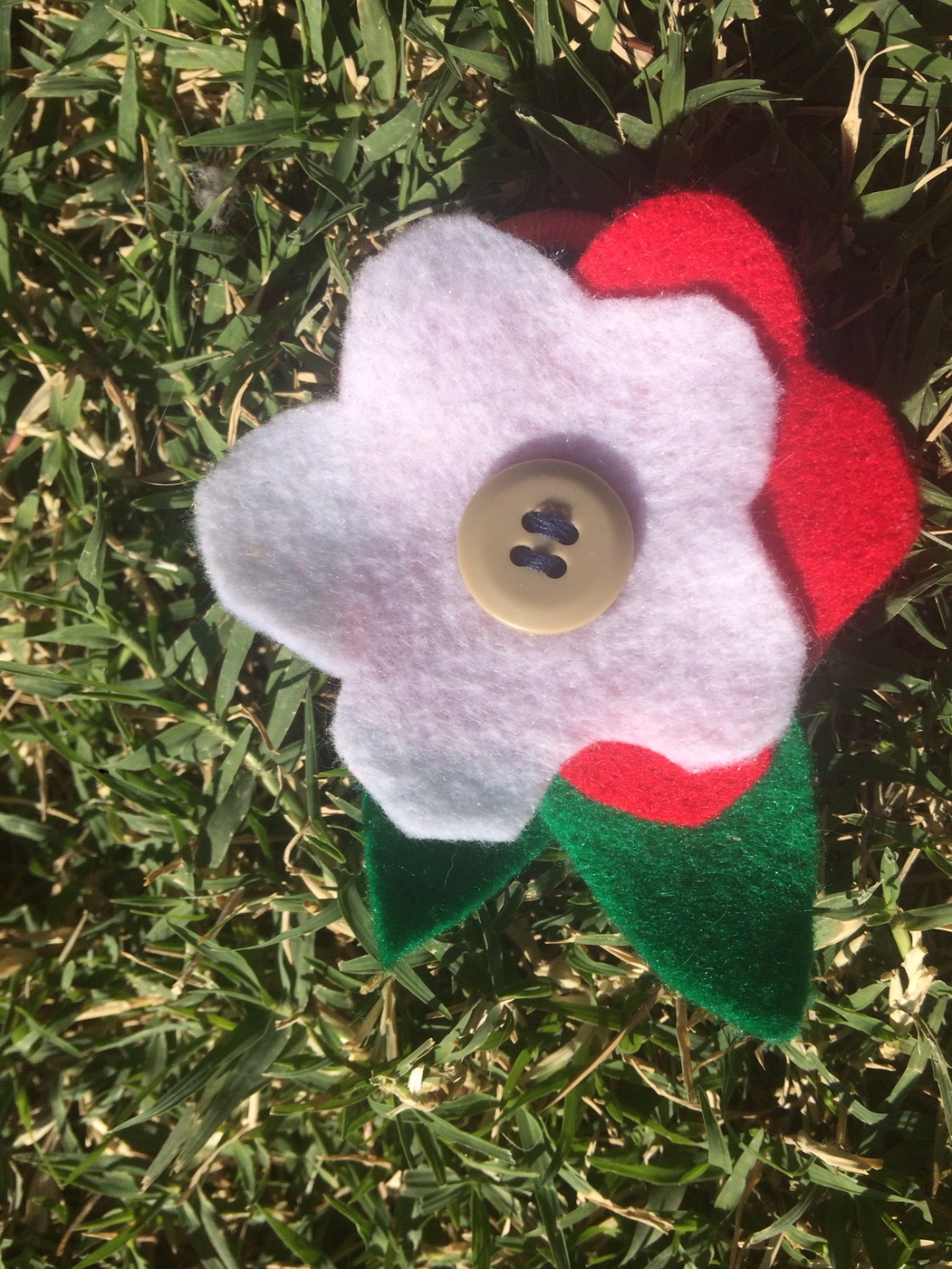 Nazarene Caravan Scouts for Kids