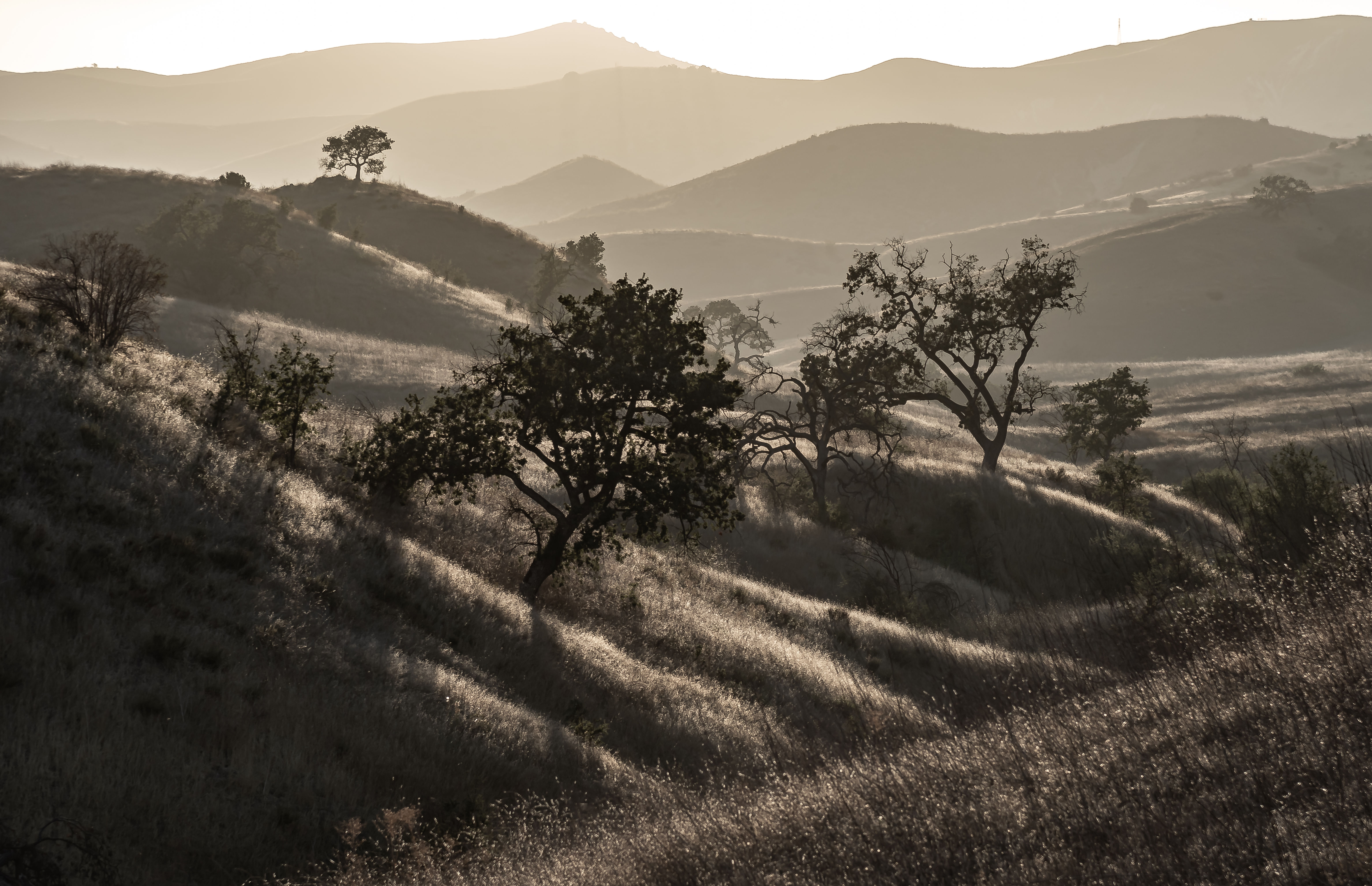 Las Virgenes Canyon