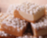 B²FUDGE
