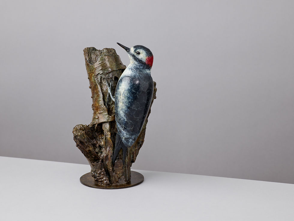 Thumbnail: GREATER SPOTTED WOODPECKER