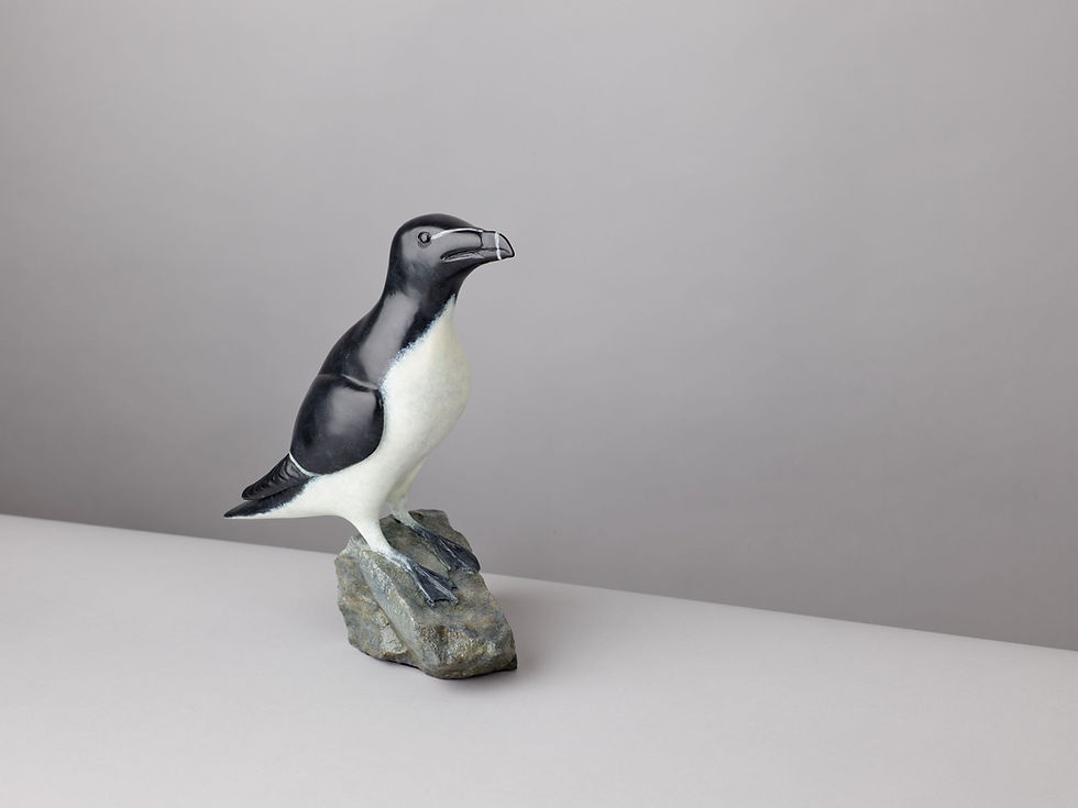 Thumbnail: RAZORBILL