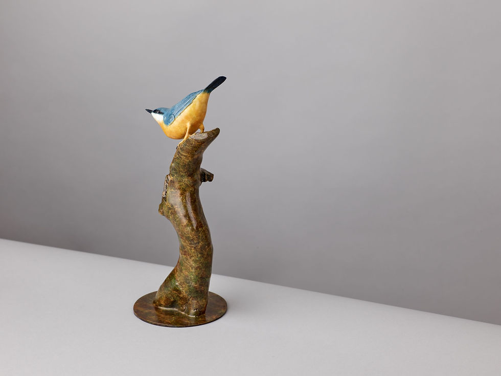 Thumbnail: NUTHATCH MK III
