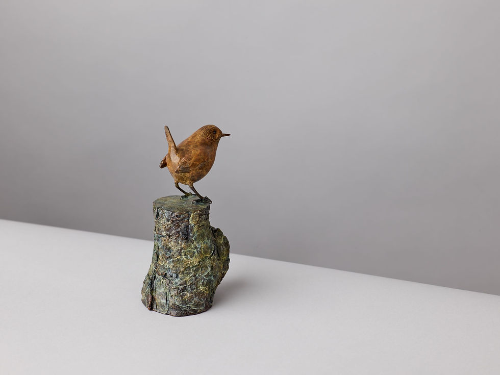 Thumbnail: WREN WITH CUP FUNGI