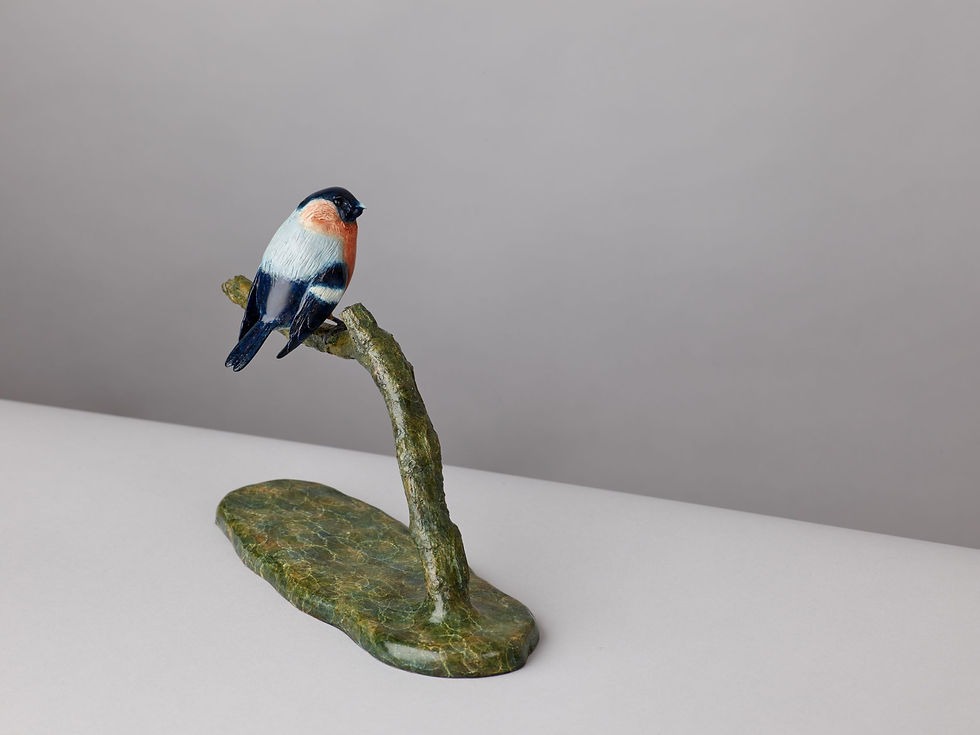 Thumbnail: BULLFINCH