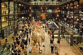 Grande Galerie de l’Évolution