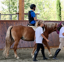 Screenshot 2023-10-05 at 12.19.53.png