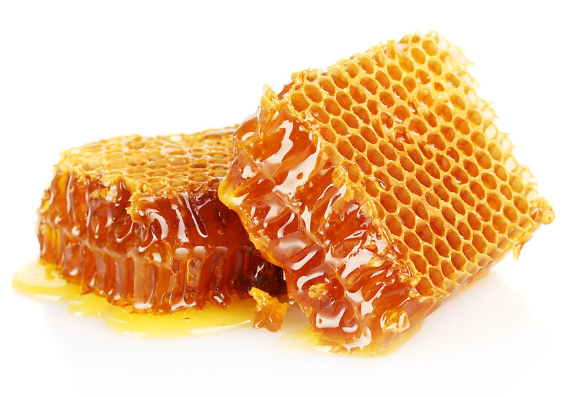 AdobeStock_44165833.jpeg