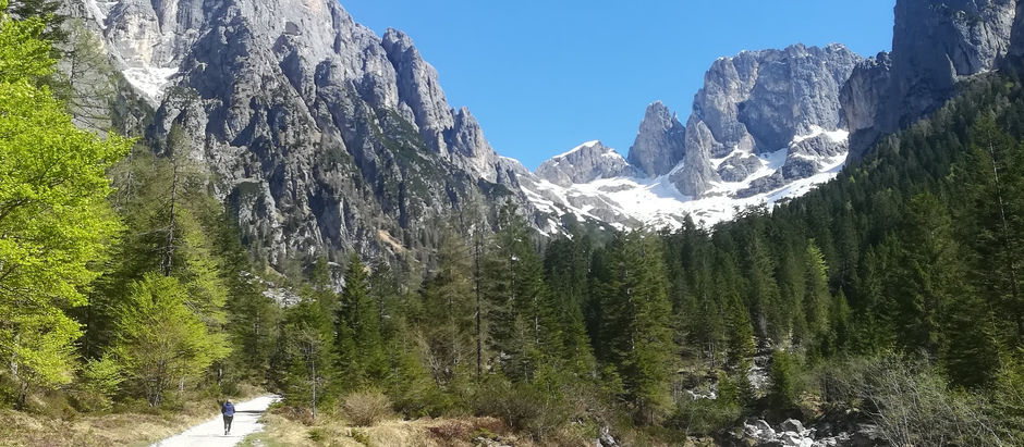Rifugio Treviso 1629 m, Val Canali
