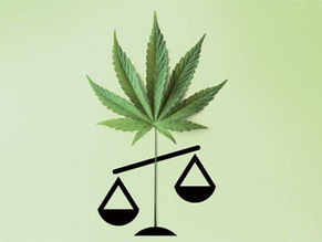 Revisiting the past notion of Taboos related to Marijuana in India