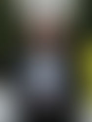 Dublin Safer Families Service A Therapeutic Response to Domestic Violence