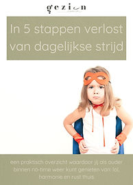 E-book 5 stappen dagelijkse strijd.jpg