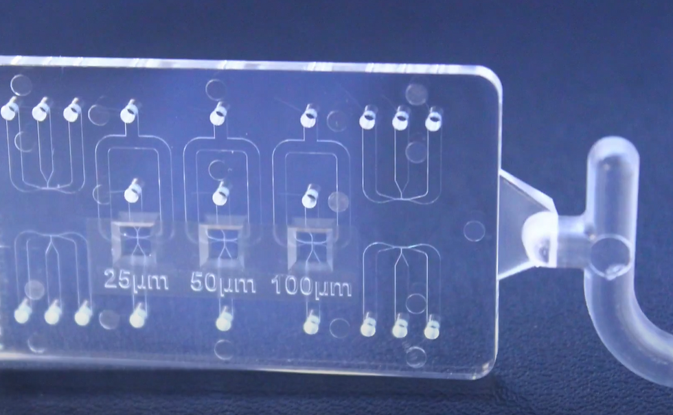 Microfluidic Chip