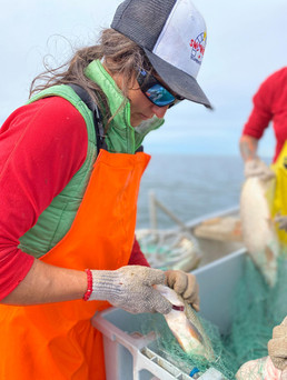 St&eacute;phanie Vaillancourt nous parle de Fish On The Bay, un symbole d&rsquo;alimentation locale &agrave; Yellowknife.