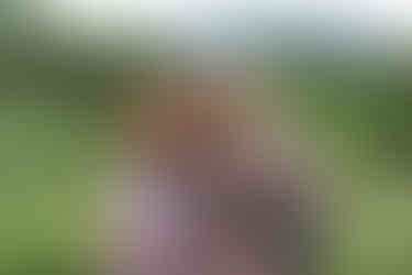 Mila Benoit et Pierre-Benoit Rondeau Chalifoux nous parlent de Northern Escape, l’entreprise récréotouristiques qu’ils viennent de fonder.