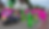 Zomercarnaval 2026