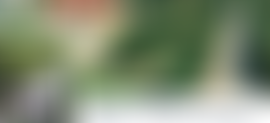 OUR DREAM: “God is the giver of dreams and the maker of dreams come true”, Tammy Griffin