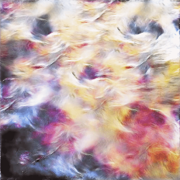 ciel à plumes