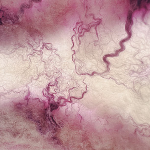 soft petals on their journey to decay
