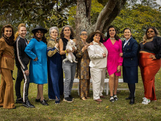O Clube das Mulheres de Negócios: futilidades de um desejo representacional
