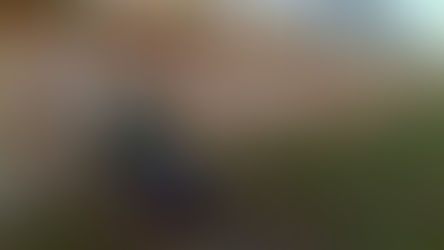 A cidade é uma só?: o cinema no lugar da dialética