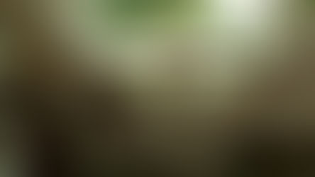 Aquarius: a conceitual teia do novíssimo cinema brasileiro