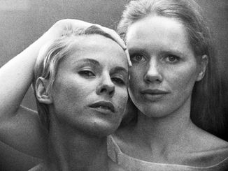 Persona: a dor como elemento irrefreável da dimensão humana