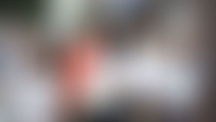 Antes que Tudo Desapareça: interpretações para além do que evoca a convencionalidade