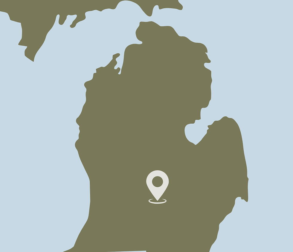 state of Michigan with blue water and green land and white location icon in the center