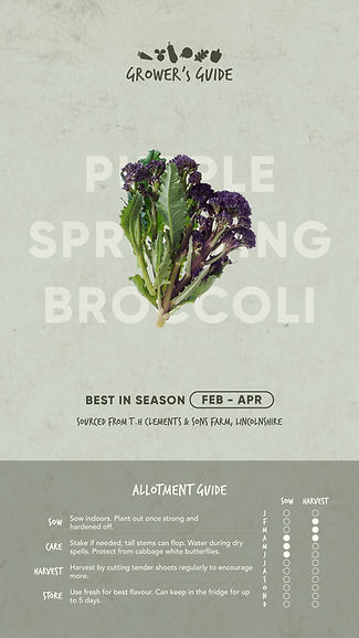 Seasonal Produce_Grower's Guide_Screen1 (6).jpg