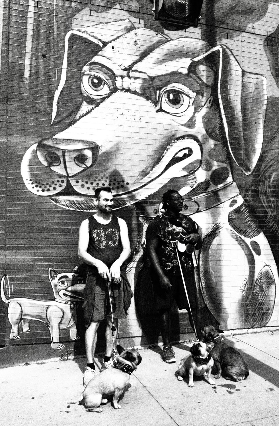 Dog Days of Summer