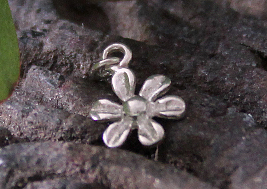 Miniatura: Blumen Charme