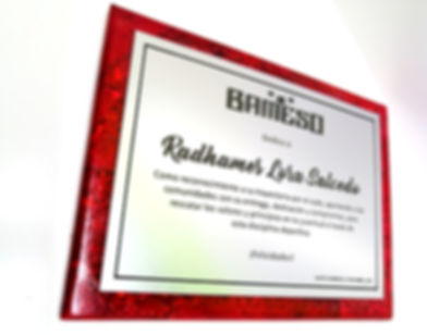 Placa A20 - Color de plástico rojo reciclado