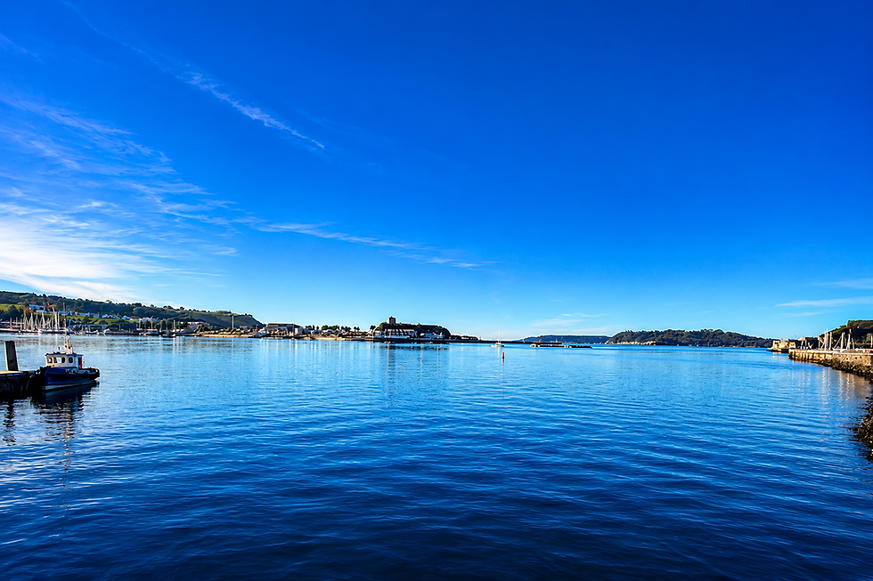 37EA8369-6178-4D5A-B4FB-4A6464B25AC7.PNG