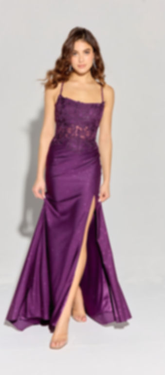 TDSEU12PURPLE