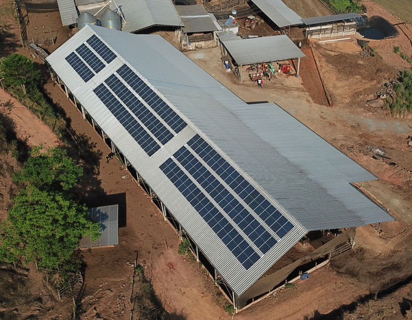 Fazenda - Ponte Nova/MG