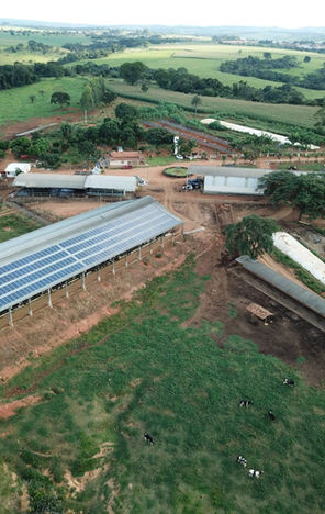 Fazenda - Cruzeiro da Fortaleza/MG