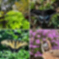 thumbnail_Image-1.jpg