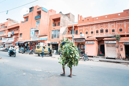 Reportage Photographie Voyage Inde Du Nord_011.jpg