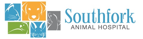 Southfork Animal Hospital