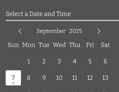 Screenshot 2025-08-31 at 12.52.31 PM.png