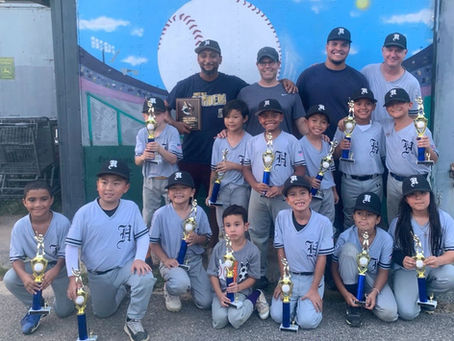 NY Hammers 8U Gray, –Champs!