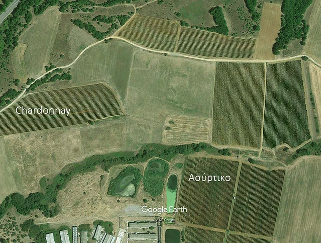 Argyriou Asyrtiko Chardonnay.jpg
