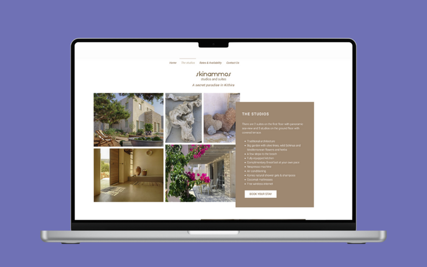 SKINAMMOS WEBSITE REDESIGN