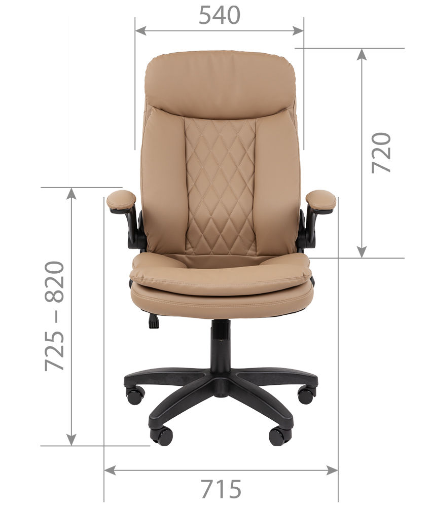 Կաշվե բազկաթոռ Chairman 533