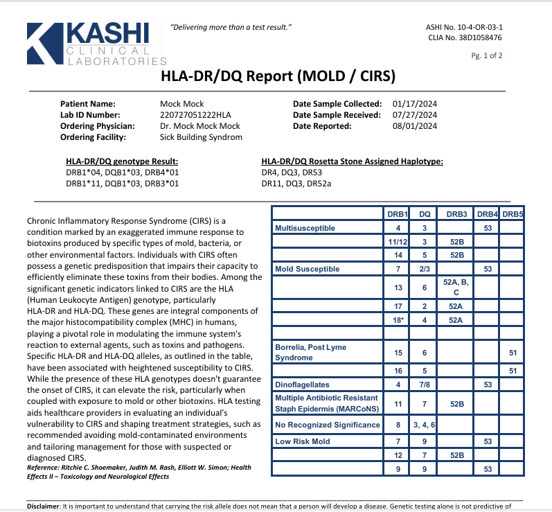 KASHI LAB REPORT.png