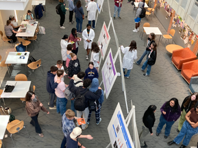 Psyc211 Poster Session