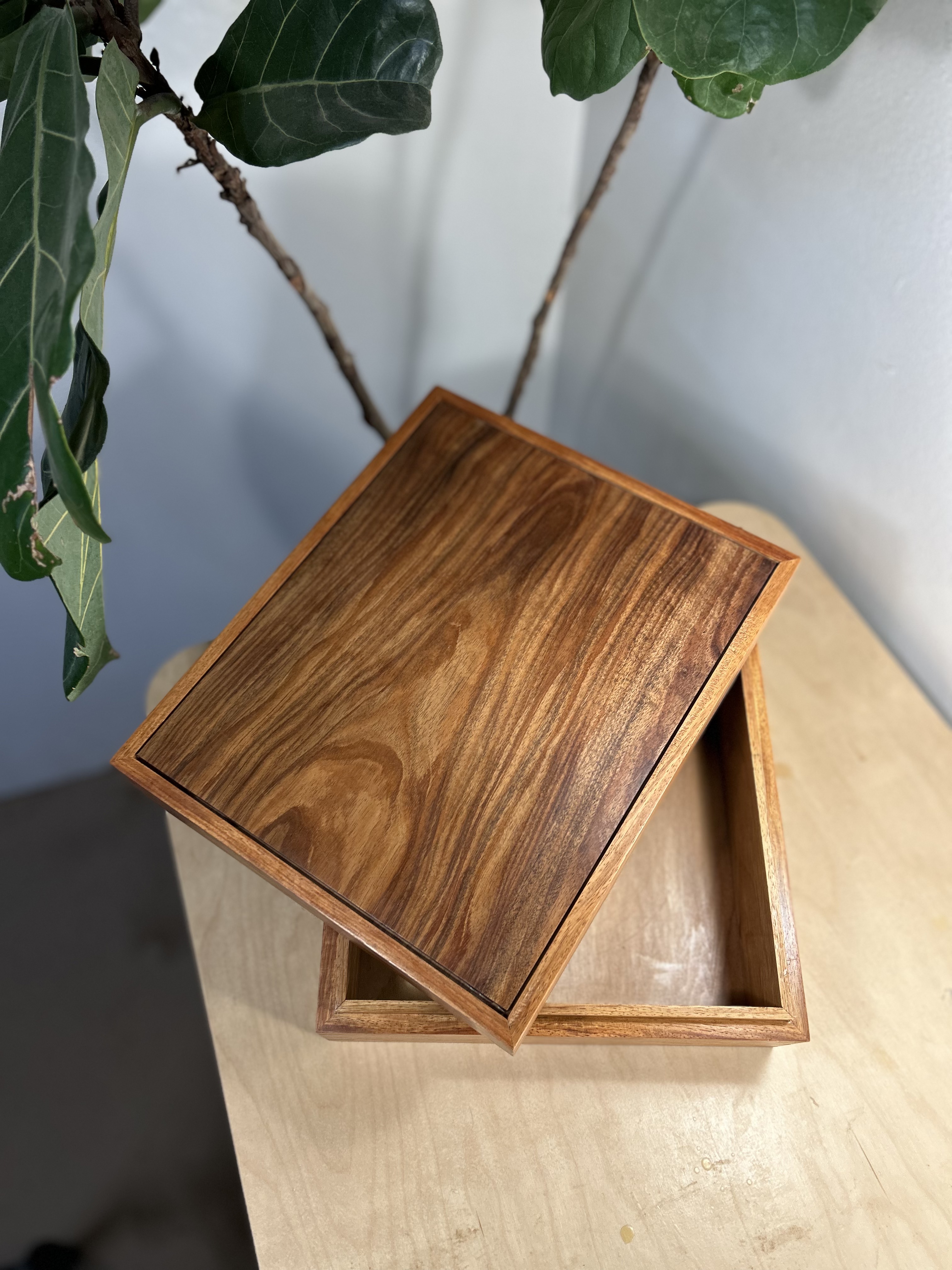 Finished student-made timber keepsake box from Chisel & Dowel woodworking classes in Sydney.